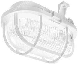 OVAL LED EVO S.TWORZYWO BIAŁY 5W 4000K LENA LIGHTING