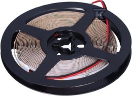 TAŚMA EX 12V 2835 4,8W 60 IP20 3000K 5M NEXTEC