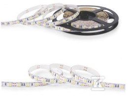TAŚMA LED 12V 300 LED IP20 RGB 10MM NEXTEC