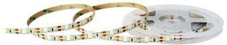 TAŚMA ST 12V 9,6W 120LED IP20 4000K 5M NEXTEC