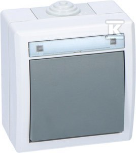 ŁĄCZ.1-BIE.SCHOD.N/T IP55 SZARY AQUANT ELEKTRO-PLAST NASIELSK