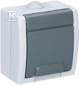 GN.2P+Z N/T IP55 SZARE AQUANT ELEKTRO-PLAST NASIELSK