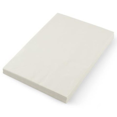 Papier pergaminowy do przekąsek frytek biały 500 szt. 258x425 mm - Hendi 678213 Hendi